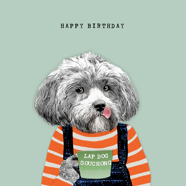 Happy Birthday Lap Dog Souchong Card