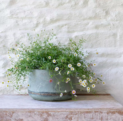 Bathwick Planter