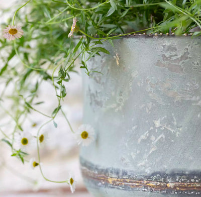 Bathwick Planter