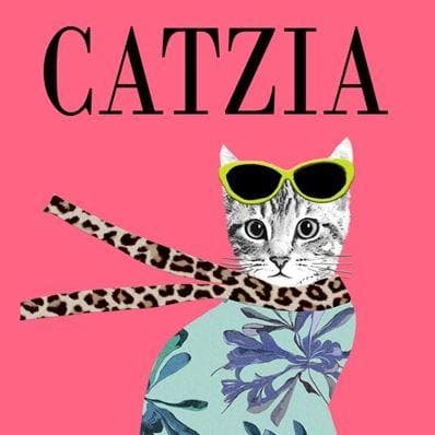 CATZIA card - Aurina Ltd